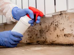 Best Attic Mold Removal  in Pleasanton, TX